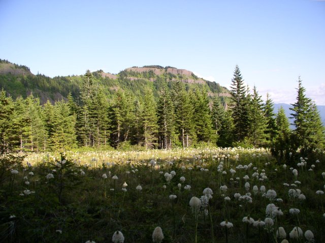 6.10.06 Table Mtn_3CR 179 